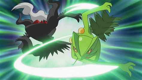 darkrai vs sceptile|tobias darkrai.